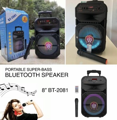 Portable Speaker BT-2081