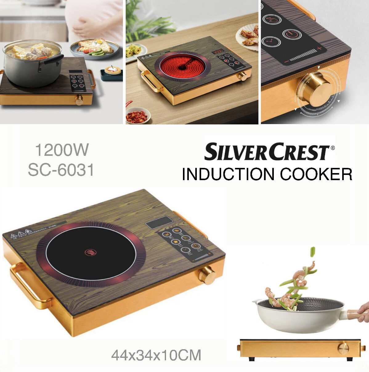 Induction Cooker SC-6031