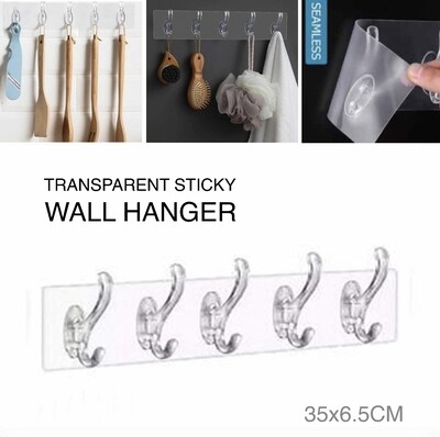 Transparent Wall Hanger