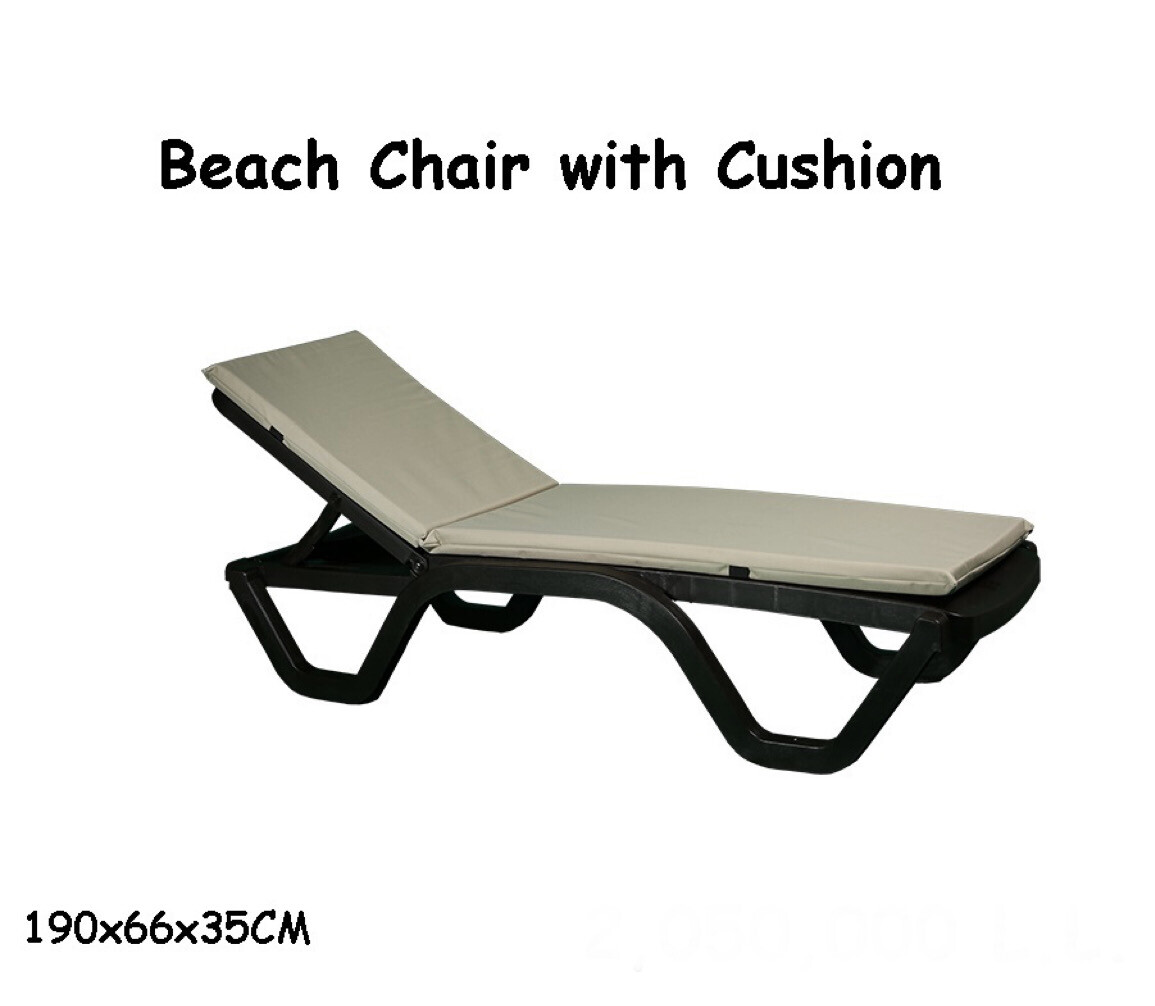 Beach Chair with Cushion