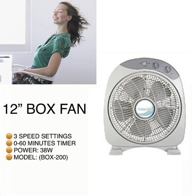 12" Box Fan