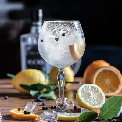 Gin Tasting Masterclass & Meal