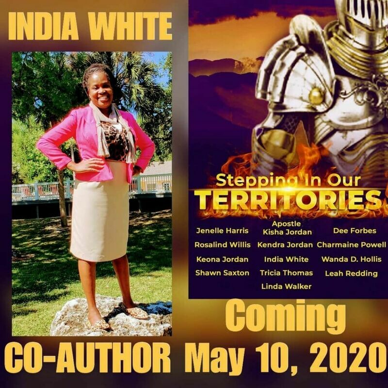Steppin Into Your Territory Book Collaboration