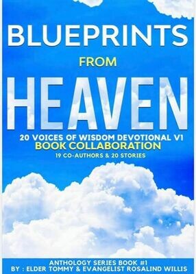 Blueprints from Heaven Book Collaboration