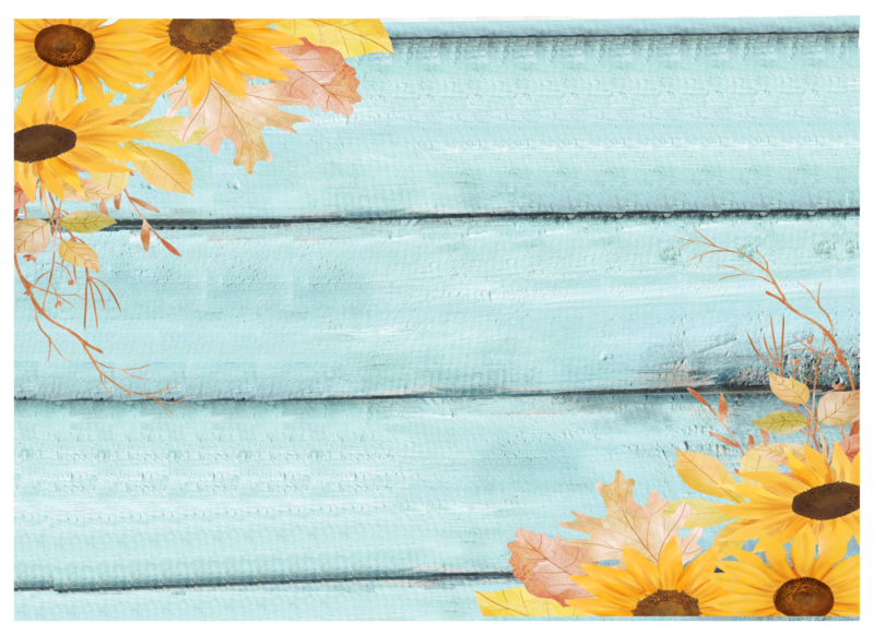 Cutting Boards