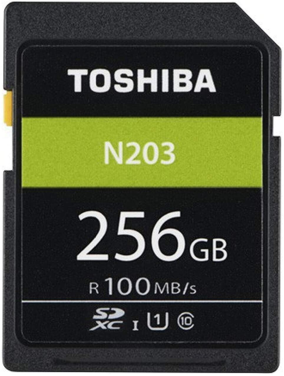 Toshiba SD-Card Exceria R100 N203 256GB