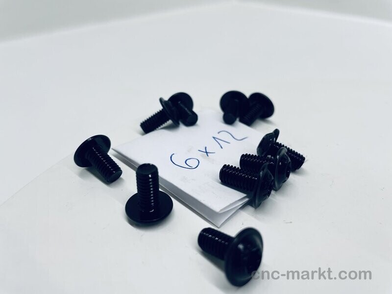 Linsenflanschkopf Schraube 10.9 M6X12 T30 BRUENIERT 10824769 319469