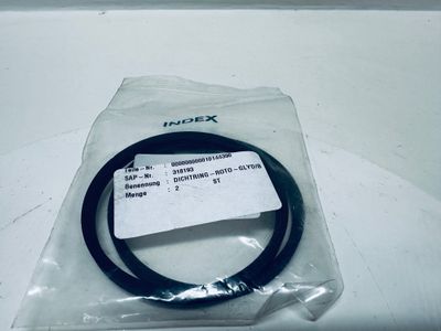 Dichtring Roto Glyd TNA480  10144390 318193