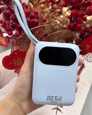 ROCK Y11 Power Bank with Cable (20000mAh)