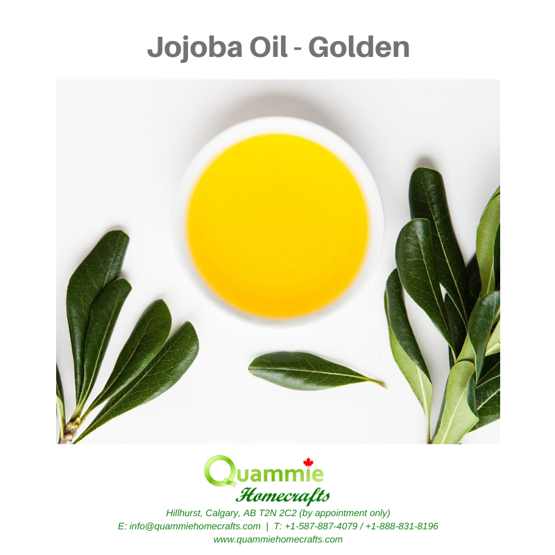 Jojoba Oil/Wax - Golden