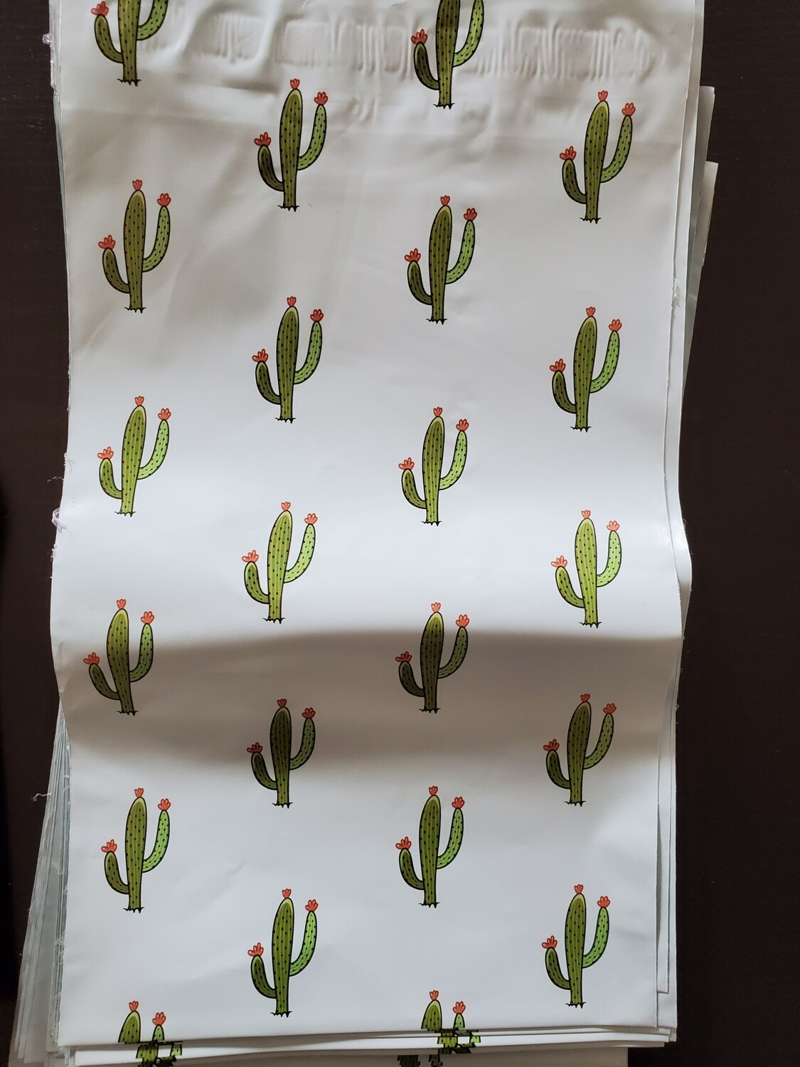 Designer Poly Mailers 6 x 9&quot; (Choose Your Design), Design: Cactus
