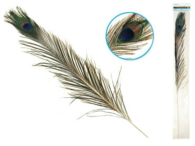 Feather Craft: 31&quot;-35&quot; Real Peacock Feather