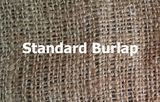 Standard burlap
