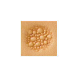 M882 Craftool Matting Stamp