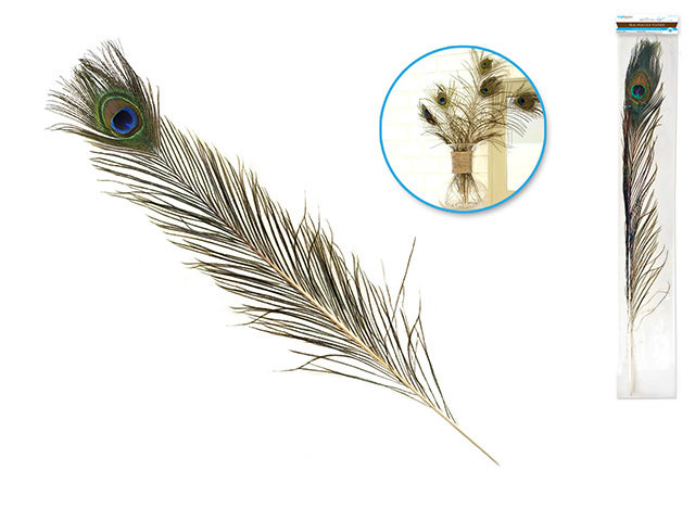 Feather Craft: 25&quot;-30&quot; Real Peacock Feather