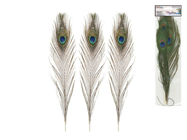 Feather Craft: 10&quot;-14&quot; Real Peacock Feathers - 2 pack