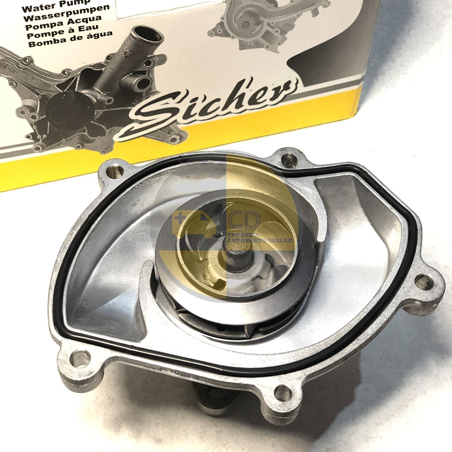 Sicher Water Pump