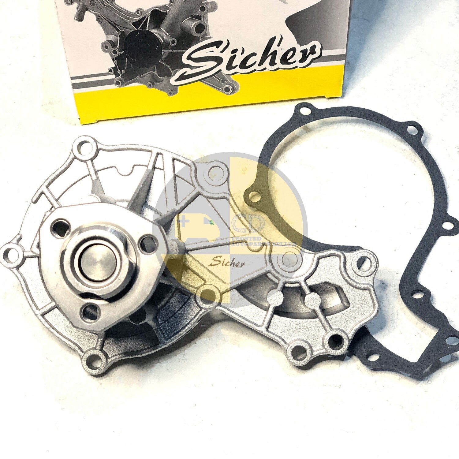 Sicher Water Pump