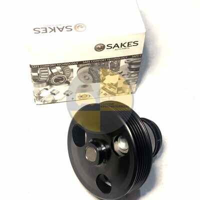 Sakes Water Pump