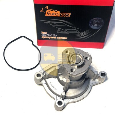 EuroStar Water Pump