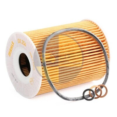 MAHLE Oil Filter OX254D2