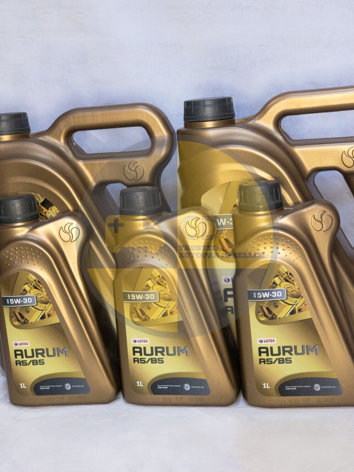 LOTOS 5W30 Synthetic A5/B5 Engine Oil