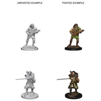 D&D Nolzur's Marvelous Miniatures - Human Male Bard D&D Nolzur's Marvelous Miniatures - Human Male Bard
