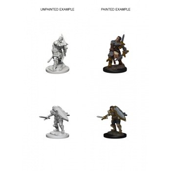 D&D Nolzur's Marvelous Miniatures - Human Male Paladin