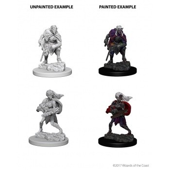 D&D Nolzur's Marvelous Miniatures - Drow