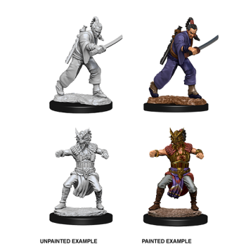 D&D Nolzur's Marvelous Miniatures - Male Human Monk