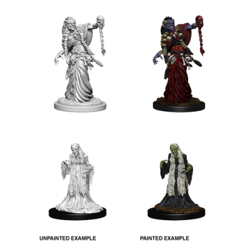 D&D Nolzur's Marvelous Miniatures: Green Hag & Night Hag