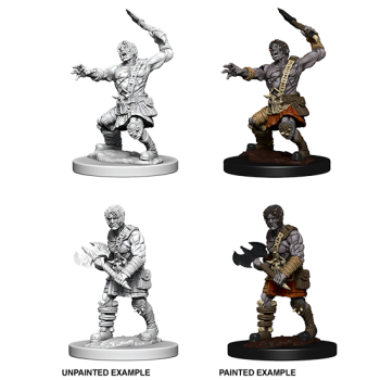 D&D Nolzur's Marvelous Miniatures: Nameless One