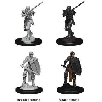 D&D Nolzur's Marvelous Miniatures - Female Human Fighter