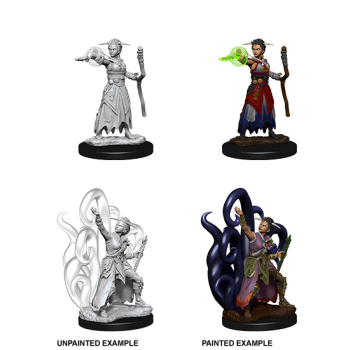 D&D Nolzur's Marvelous Miniatures - Female Human Warlock