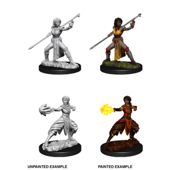 D&D Nolzur's Marvelous Miniatures - Female Half-Elf Monk