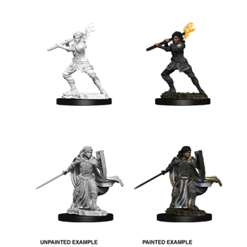 D&D Nolzur's Marvelous Miniatures - Female Human Paladin