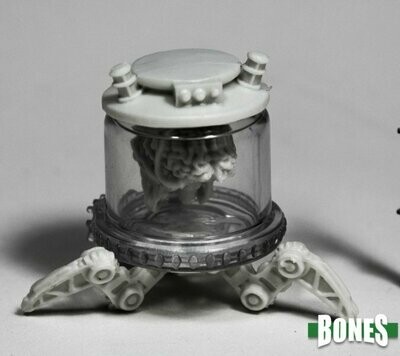 Brain In a Jar - Reaper Bones