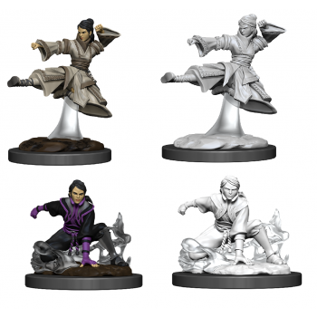 D&D Nolzur's Marvelous Miniatures - Female Human Monk