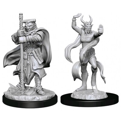 D&D Nolzur's Marvelous Miniatures - Hobgoblin Devastator & Hobgoblin Iron Shadow