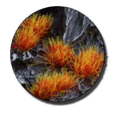 Alien Fire Tuft 6mm (Wild) - Gamers Grass