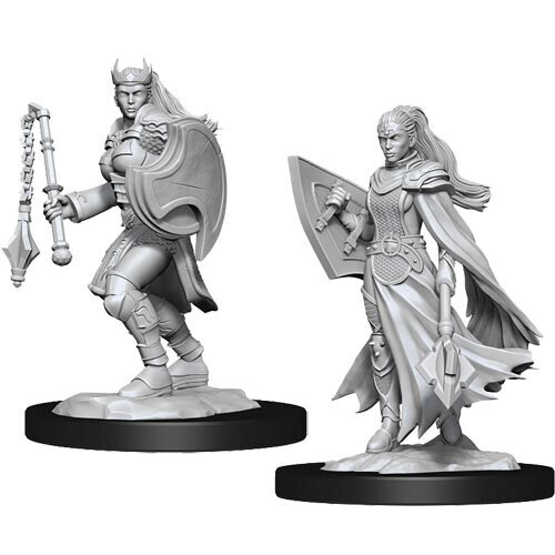 D&D Nolzur's Marvelous Miniatures - Kalashtar Cleric Female