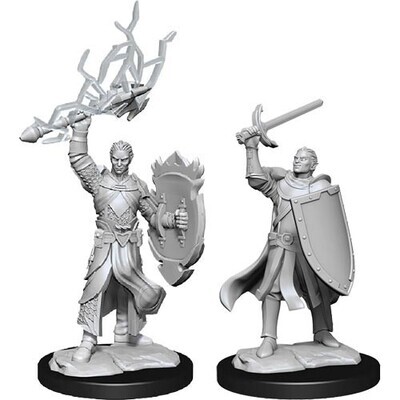D&D Nolzur's Marvelous Miniatures - Half-Elf Paladin Male