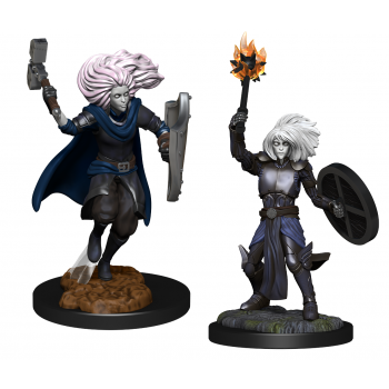 D&D Nolzur's Marvelous Miniatures - Changeling Cleric