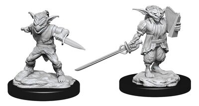 D&D Nolzur's Marvelous Miniatures - Male Goblin Rogue & Female Goblin Bard