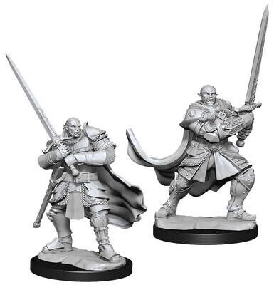 D&D Nolzur's Marvelous Miniatures - Half-Orc Paladin Male