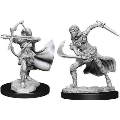 D&D Nolzur's Marvelous Miniatures - Air Genasi Female