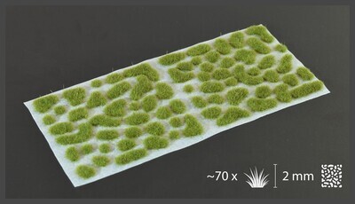 Dry Green 2mm Tufts (wild) - Gamers Grass