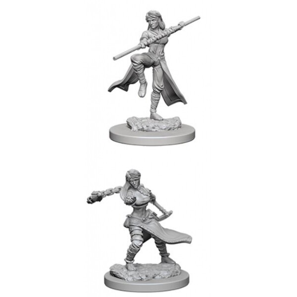 D&D Nolzur's Marvelous Miniatures - Female Human Monk
