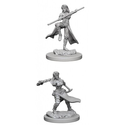 D&D Nolzur's Marvelous Miniatures - Female Human Monk