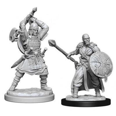 D&D Nolzur's Marvelous Miniatures - Human Barbarian